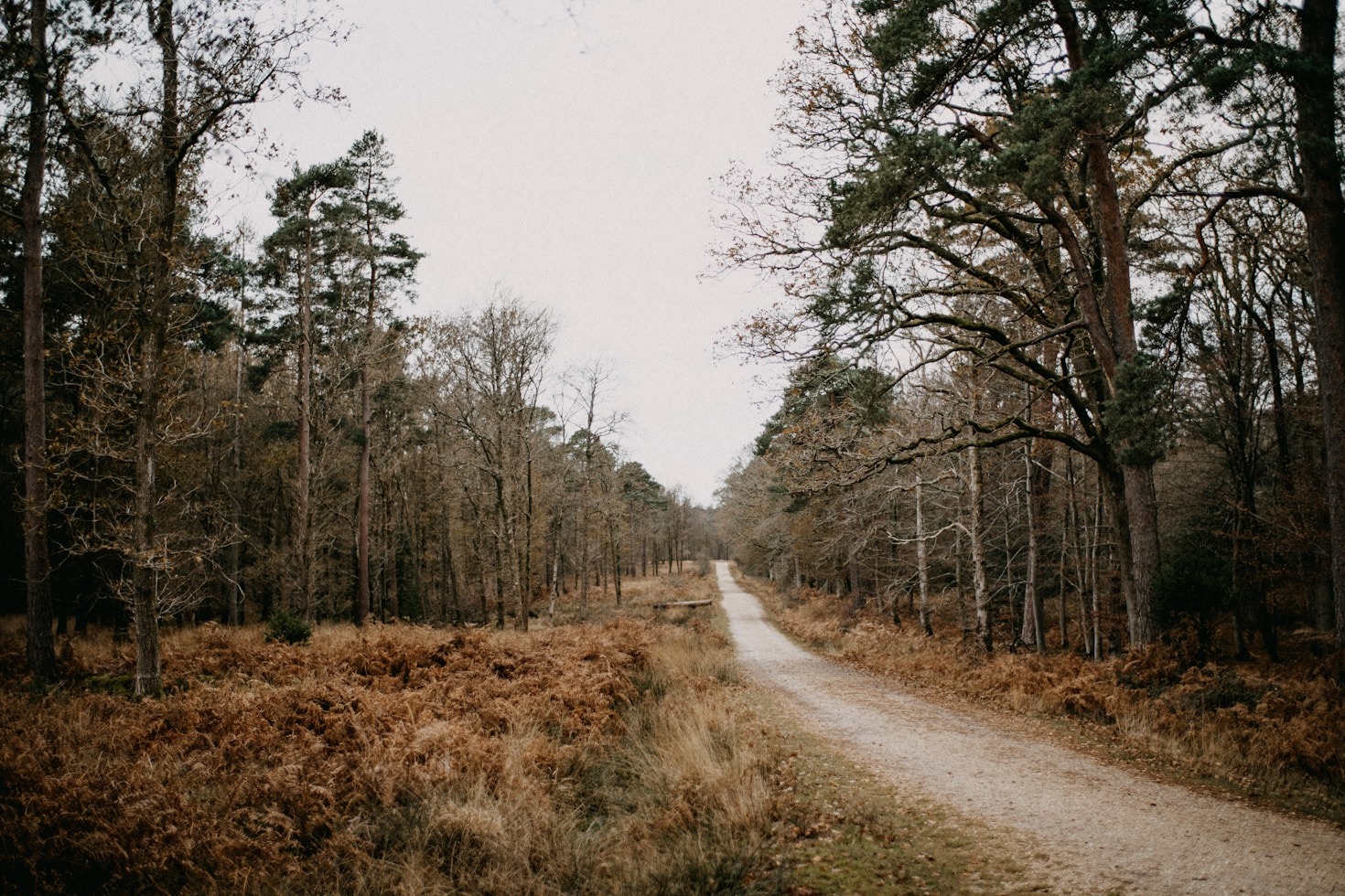 Traditioner och historier från Smålands hjärta