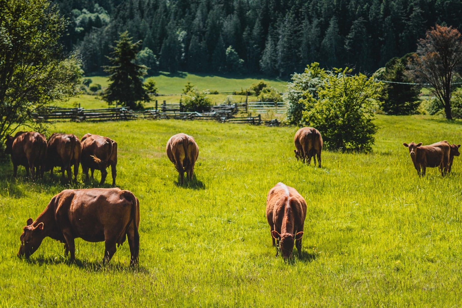 Ett besök i Hallserydgårds natursköna landskap